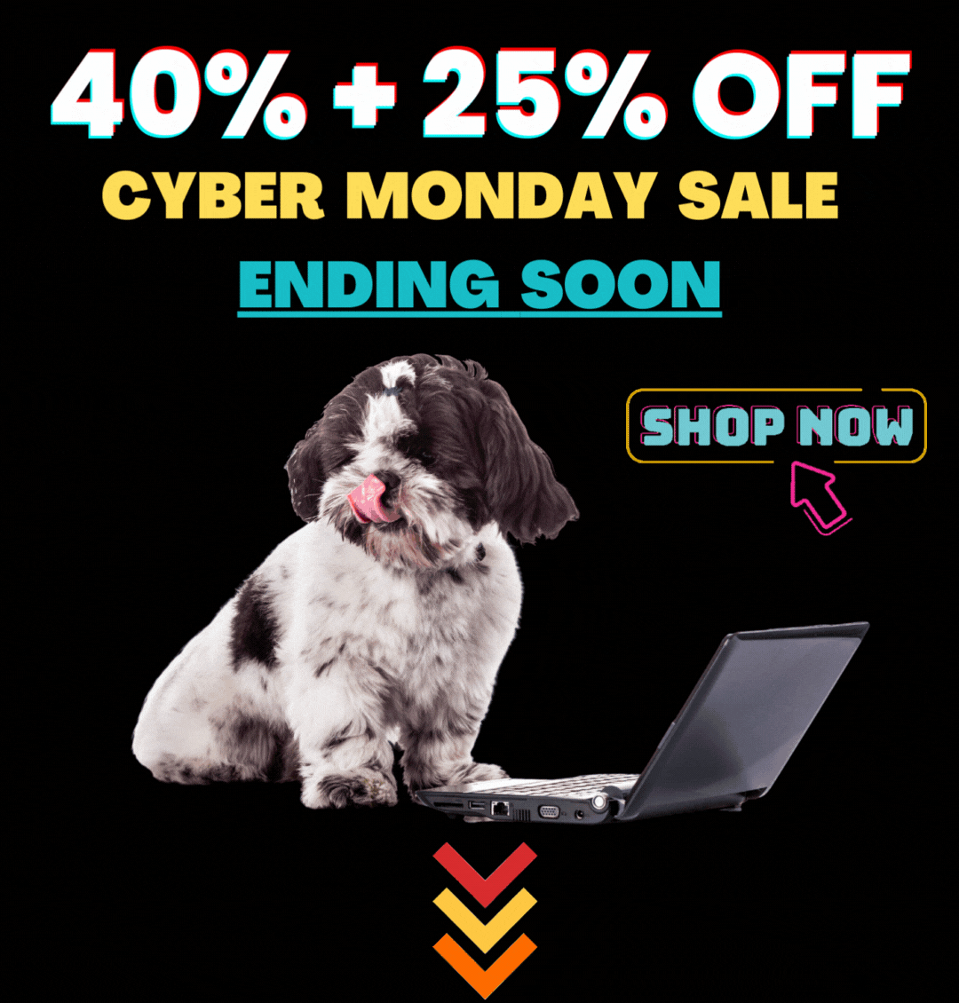 🟣 Our MASSIVE pet sale ends today Potty Buddy
