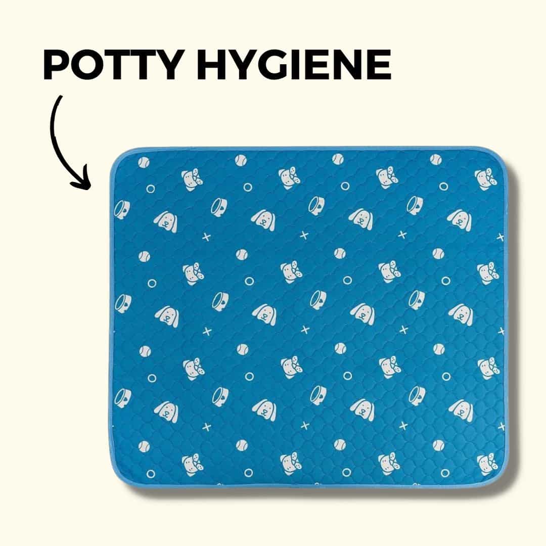 How to support your pup's health Potty Buddy