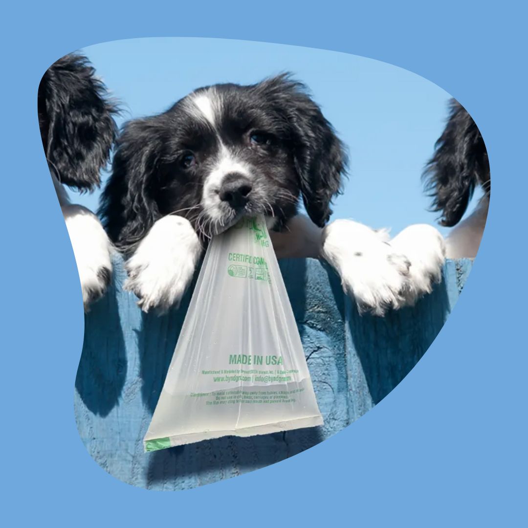 Extra 25 Off Already Discounted Prices 🤯 Potty Buddy