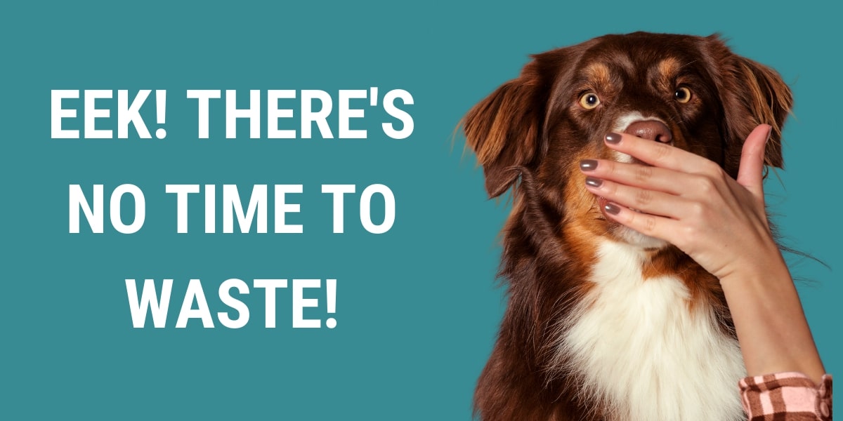 Eek! There's no time to waste! 23 O3 Nompl e 7R3 