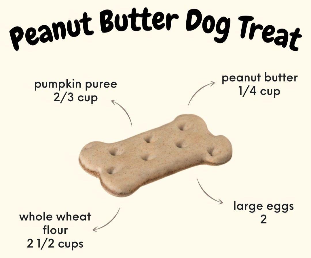 🐾 Here's a dog biscuit recipe for you 😍 Potty Buddy