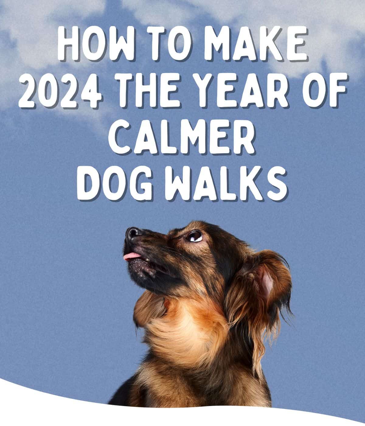 2024 🦮 The Year of Calmer Dog Walks - Potty Buddy