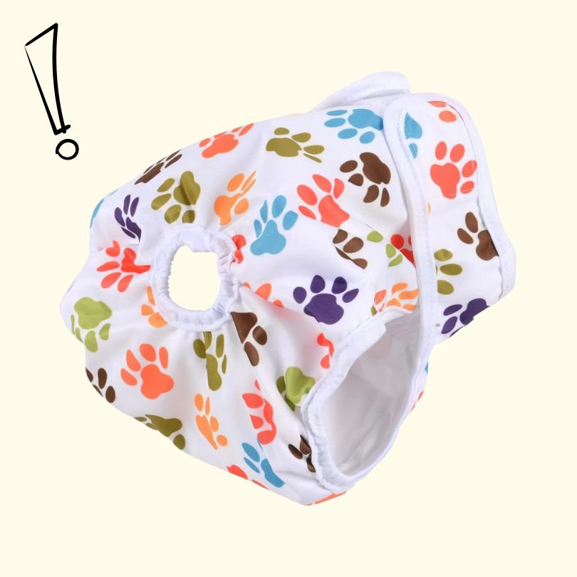 5 fun facts you didn't know about dogs 🐶 Potty Buddy
