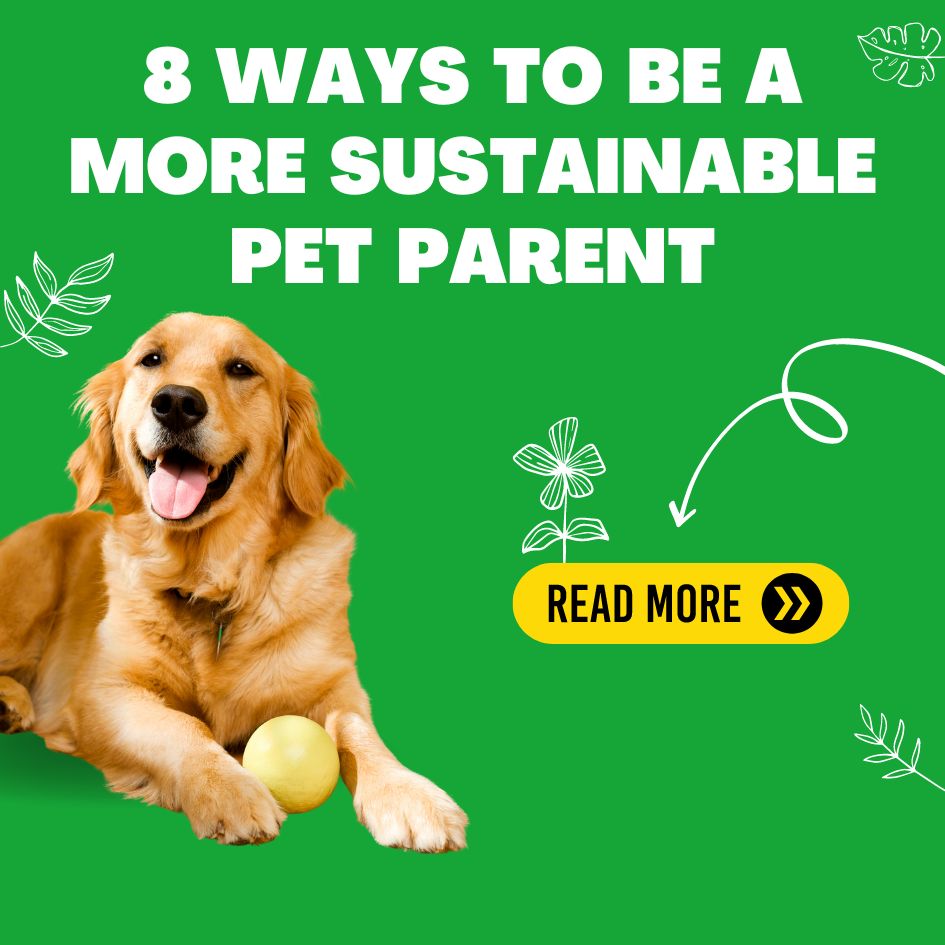 8 ways to be a more sustainable pet parent, friend 🌎 Potty Buddy